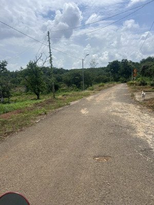 bán đất đắk ơ, bù gia mập, bình phước giá tốt 14,2 tỷ, 35000 m2