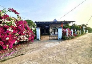 bán gấp nhà vườn trồng bưởi ngay chợ chơn thành, cách ql13 200m