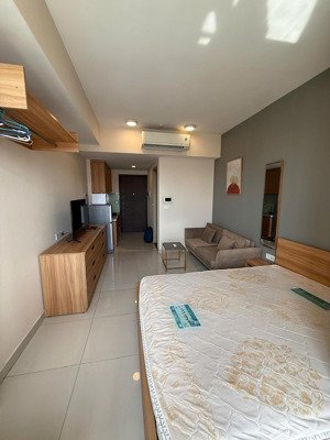 cho thuê studio river gate, 12 triệu, 30m2, 1pn + 1wc, giá cực chất, q4, hcm