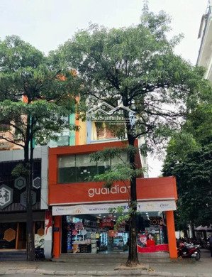 cho thuê nhà mặt phố trung hòa, cầu giấy, mặt tiền 6m, diện tích: 150m2, giá siêu hời!