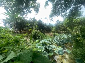 Siêu phẩm nghỉ dưỡng bám suối tại yên thủy -hb giá nhỉnh 1 tỷ