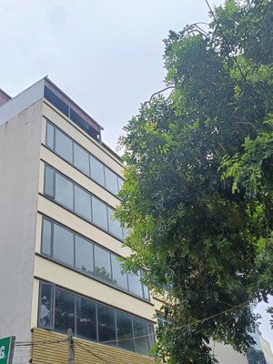 tòa văn phòng mặt phố 100m² 7 tầng thang máy mặt tiền 10m đường 40m giá đầu tư
