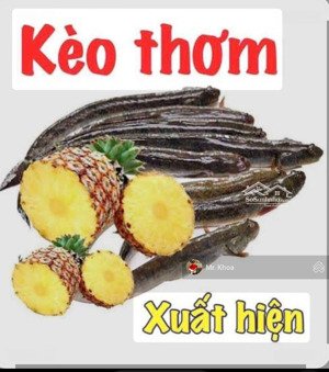 chính chủ bán gấp đất thổ 143m2 đ.cây trôm mỹ khánh , thái mỹ, 790tr sổ sẵn