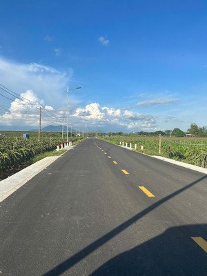 bán 27.5m x 32m đất mặt tiền nguyễn minh châu - tân hải - lagi giá ngộp 66tr/m ngang sổ riêng