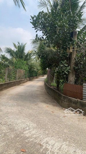 con đi du học, cần bán vường cây ăn trái tâm huyết xã tam an, long thành, đồng nai