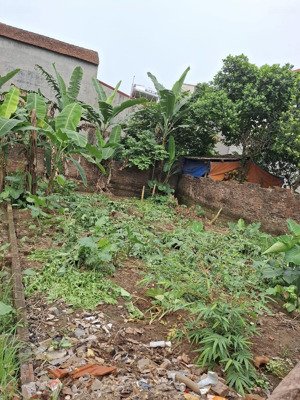 chính chủ bán đất sơn đông gần trường sĩ quan phòng hóa đường ô tô tải chạy thông