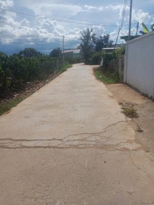 giảm sốc lô đất mê linh 10x37m2 sẵn vườn cafe trĩu quả, đã có thổ cư 91m2 chỉ 1.250 tỷ.