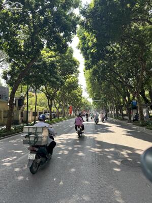 BÁN GẤP NHÀ CHÍNH CHỦ PHỐ VĂN MIẾU QUỐC TỬ GIÁM ĐỐNG ĐA 50M 5 TẦNG THANG MÁY LÔ GÓC OTO