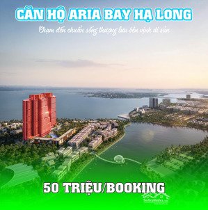 những lý do không thể bỏ lỡ dự án căn hộ chạm vịnh aria bay hạ long 