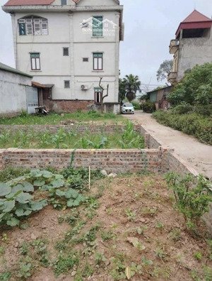 bán gấp 42,6m2 đất mai lâm, ngõ 2.5m, cách 1 nhà ra oto tránh, sát bìa làng. 2km tới triển lãm, vin