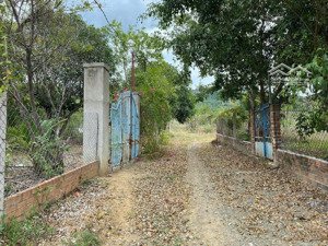 a442. đất tân thành - vĩnh phương siêu rẻ chỉ 2 triệu/m ngang 46m - 7 tỷ 230 triệu