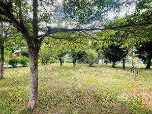 kdc lý tưởng !!view công viên sông giồng ông tố,p. an phú _ 152m2 ngang 8m _ gần kề nút giao an phú