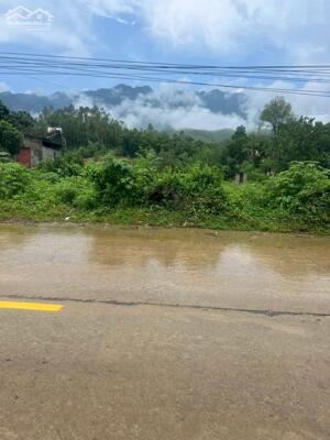 BÁN ĐẤT MẶT TỈNH LỘ 317 - CỰ ĐỒNG, THANH SƠN, PHÚ THỌ