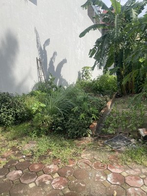 100m2 đất nam hồng - đông anh phúc thịnh mới .