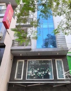 bán nhà 60m2 mặt phố quan hoa 6 tầng thang máy giá cực hợp lý