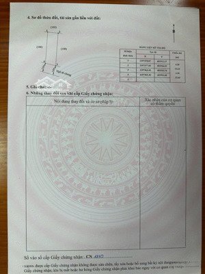 hàng hiếm tại dương kinh còn 1 lô duy tại hoà nghĩa . giá chỉ 9xx (x mầm non ) dt 54m2