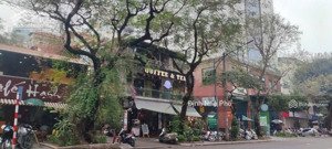 (đầu tư từ liêm) nhà phố lê đức thọ 208m2 mt: 10m - thông số vàng - vị trí đẹp xây tòa nhà 9t đỉnh