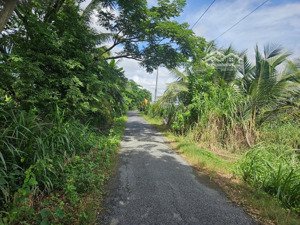 bán đất mặt tiền đường hồ văn mão, long bình điền, chợ gạo tg