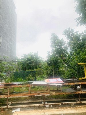 cẩm nam 10 dg 7m5 hướng nam giá 4750 tl dt 100m