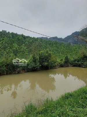 bán đất xã thống nhất, huyện lạc thủy, tỉnh hòa bình