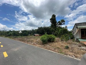 đất tp. hcm - gần chợ an thái 300m2 có 100m2 thổ cư. sở hữu với 150tr bao sổ, cách dh507 đúng 200m