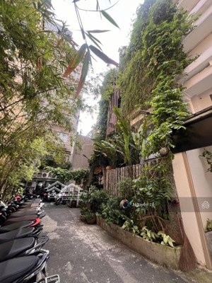 chính chủ cần cho thuê nhà 38 lê thánh tôn phường bến nghé quận 1 giá 100tr