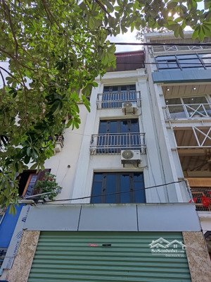 cho thuê nhà mặt hồ hoàng cầu, đống đa