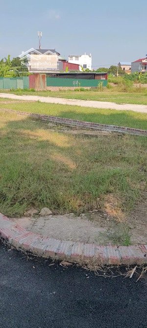 bán đất tại xã minh phú, sóc sơn, hà nội, giá siêu hời 19,5 triệu / m2, 100m2