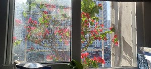 cho thuê cc mini đẹp, full nội thất tại cự lộc, 8 triệu, 50m2