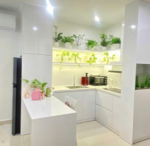 bán cc mini 1pn, 40m2, giá 3,05 tỷ, tại đa tốn, gia lâm, hà nội, view đẹp, nhiều tiện ích