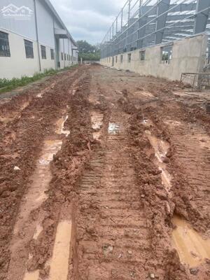 CHO THUÊ XƯỞNG BẾN CÁT BÌNH DƯƠNG