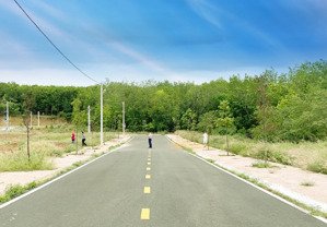 bán đất nền golden lotus city đồng tiến bình phước, giá siêu hời 3tỷ4 100m2