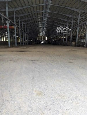 cho thuê nhà máy 3ha kcn mỹ xuân b1, bà rịa vũng tàu