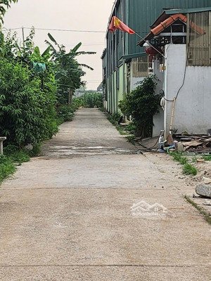 bán đất từ hồ _ yên mỹ_ hưng yên_đường oto thông