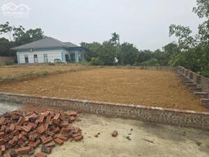 Bán mảnh đất siêu hiếm ở Ba Vì 200m2 xây nhà vườn, khu vực tăng trưởng tốt