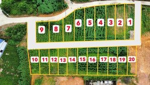 chỉ còn 5 lô, bđs tiều phu mở bán view trọn hồ cầu bãi và diều sóc sơn. tại phúc xuân- bắc sơ