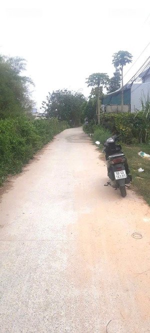 bán đất đức hòa xã mỹ hạnh nam đt 824 vào 300m dt 150m2. giá 1 tỷ đường oto đất thổ shr 