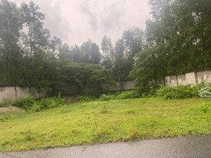 bất động sản phù hợp làm nhà vườn. gần cao tốc biên hòa vũng tàu. khu vực không khí trong lành