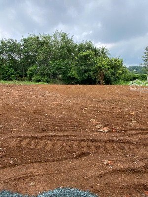 chính chủ bán đất hớn quản,bình phước 375m2 100thổ cư gần trường học,ủy ban,thuận tiện,giá 290tr