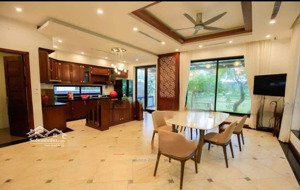 cho thuê biệt thự đơn lập vinhomes riverrside diện tích 360m2 full đồ giá chỉ 60tr/tháng