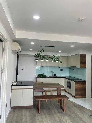 chính chủ cho thuê flora fuji: 2pn 2wc full nt đẹp 10tr ban công và ntcb 8tr, 3pn 3wc 12tr full nt