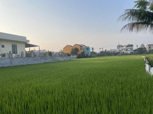đất view lúa trước nhà, giá chỉ hơn 2 tỷ, ngay trung tâm phố cổ hội an.