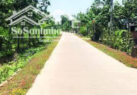 BÁN GẤP 2,9HA ĐẤT MẶT TIỀN BÊ TÔNG XÃ NHÂN CƠ. ĐANG CÓ NGUỒN THU TỐT