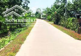 BÁN GẤP 2,9HA ĐẤT MẶT TIỀN BÊ TÔNG XÃ NHÂN CƠ. ĐANG CÓ NGUỒN THU TỐT