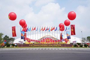 1 mảnh duy nhất đất mai lâm 50m giá chốt nhanh gần siêu dự án cầu tứ liên, vin cổ loa