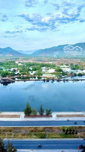 bán cc 2pn, 2wc tại kđt lê hồng phong i, 2,48 tỷ, 52m2. căn thương mại. sang tên tự do