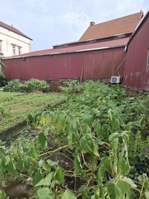 bán đất đa tốn gia lâm hà nội diện tích : 48m2 * 3,7m * 2,9 tỷ cách 10m ôtô đỗ khuân đất giá hiếm