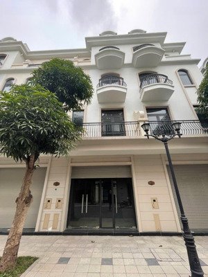 shophouse sao biển diện tích:58,5 m mặt tiền: 4,5 m giá: 8750ty bp ạ
hướng : đông bắc