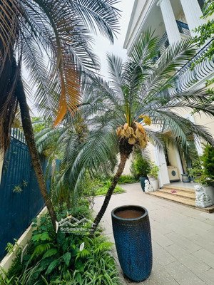 380m2 - 12m mặt tiền - bán biệt thự c7 ciputra view hồ - công viên - sân golf - vỉa hè ô tô tránh