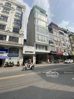 siêu phẩm mp trung phụng đđ 9t 101m2 mt6.6m 79.5 tỷ thang máy pccc full